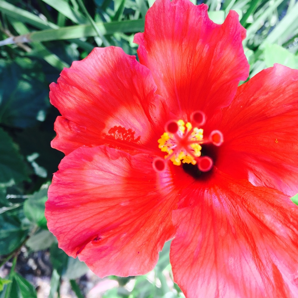 Meet your Posher, Karen